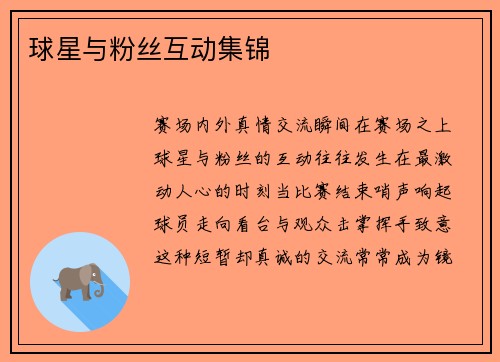 球星与粉丝互动集锦